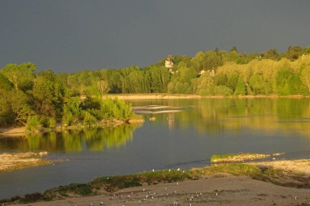 Amalouyse Chambre De Charme Au Coeur Des Chateaux De La Loire مونتلويس سور لوار المظهر الخارجي الصورة