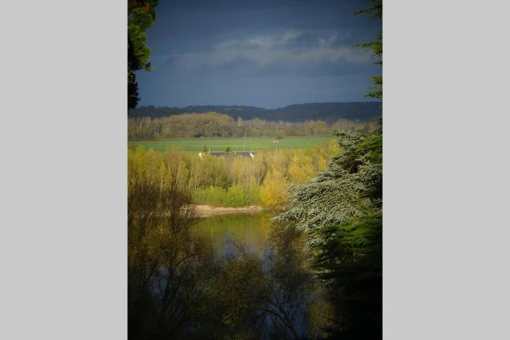 Amalouyse Chambre De Charme Au Coeur Des Chateaux De La Loire مونتلويس سور لوار المظهر الخارجي الصورة