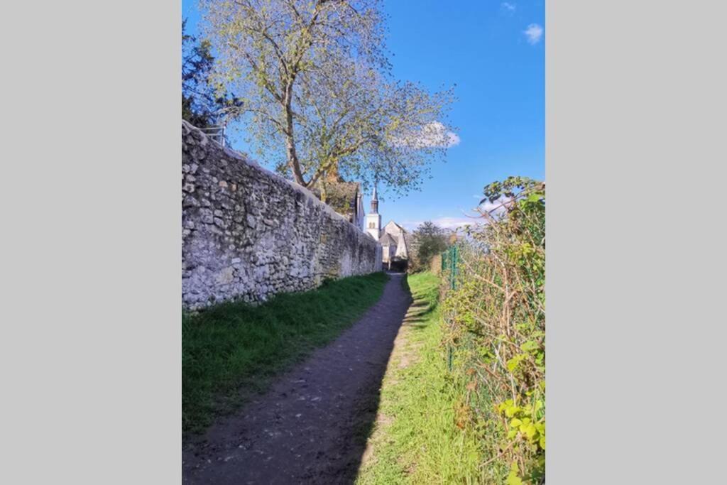 Amalouyse Chambre De Charme Au Coeur Des Chateaux De La Loire مونتلويس سور لوار المظهر الخارجي الصورة