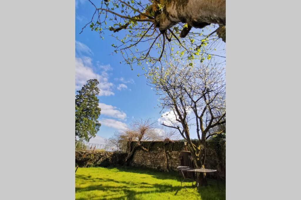 Amalouyse Chambre De Charme Au Coeur Des Chateaux De La Loire مونتلويس سور لوار المظهر الخارجي الصورة